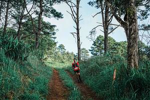 BIB: 
                            <button type="button" onclick="openModal(25653212)" class="btn btn-primary btn-sm float-right btn-popup" data-toggle="modal" data-target=".modal-high-quality">
                        <i class="fas fa-shopping-cart"></i> Add to Cart
                    </button>
                                            <button type="button" onclick="isThisMe(25653212, true)" class="btn btn-success btn-sm float-right btn-popup btn-isme hidden" data-toggle="tooltip" data-placement="bottom" title="นี่คือรูปของคุณใช่ไหม คลิกที่นี่เพื่อเอาเข้าอัลบั้ม">
                        <i class="fas fa-plus"></i> Add to album
                    </button>
                    <button type="button" onclick="isThisMe(25653212, false)" class="btn btn-warning btn-sm float-right btn-popup btn-isnotme hidden">
                        <i class="fas fa-ban"></i> Remove from album
                    </button>